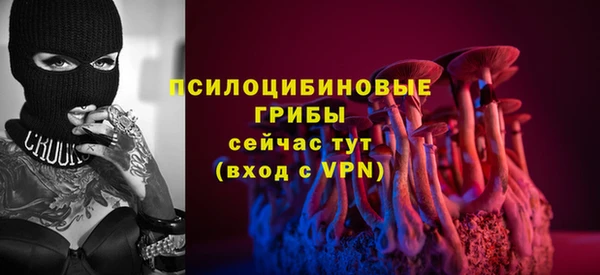 PSILOCYBIN Абинск