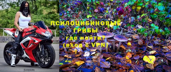 apvp Медногорск