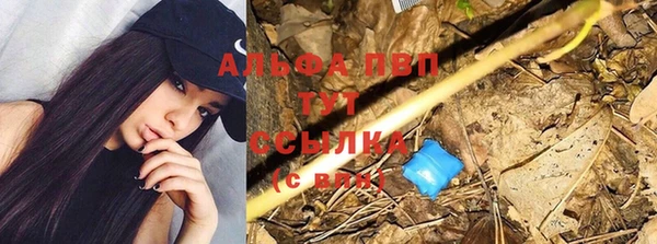 тгк Абдулино