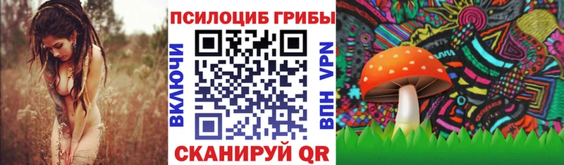 наркошоп  Юрга  Псилоцибиновые грибы Cubensis 