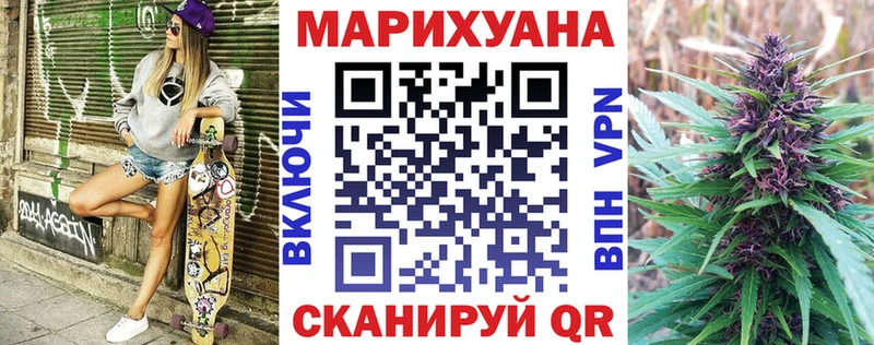 mega Юрга Каннабис индика